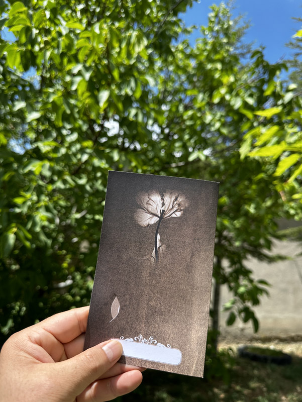 Pratik Eko Model PR603 - Görsel 5