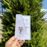 Pratik Eko Model PR612